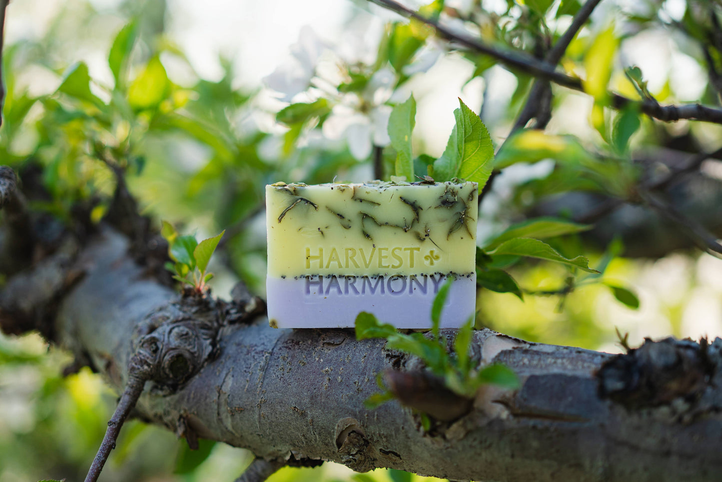 Harvest + Harmony Apple Blossom Goat Milk Soap