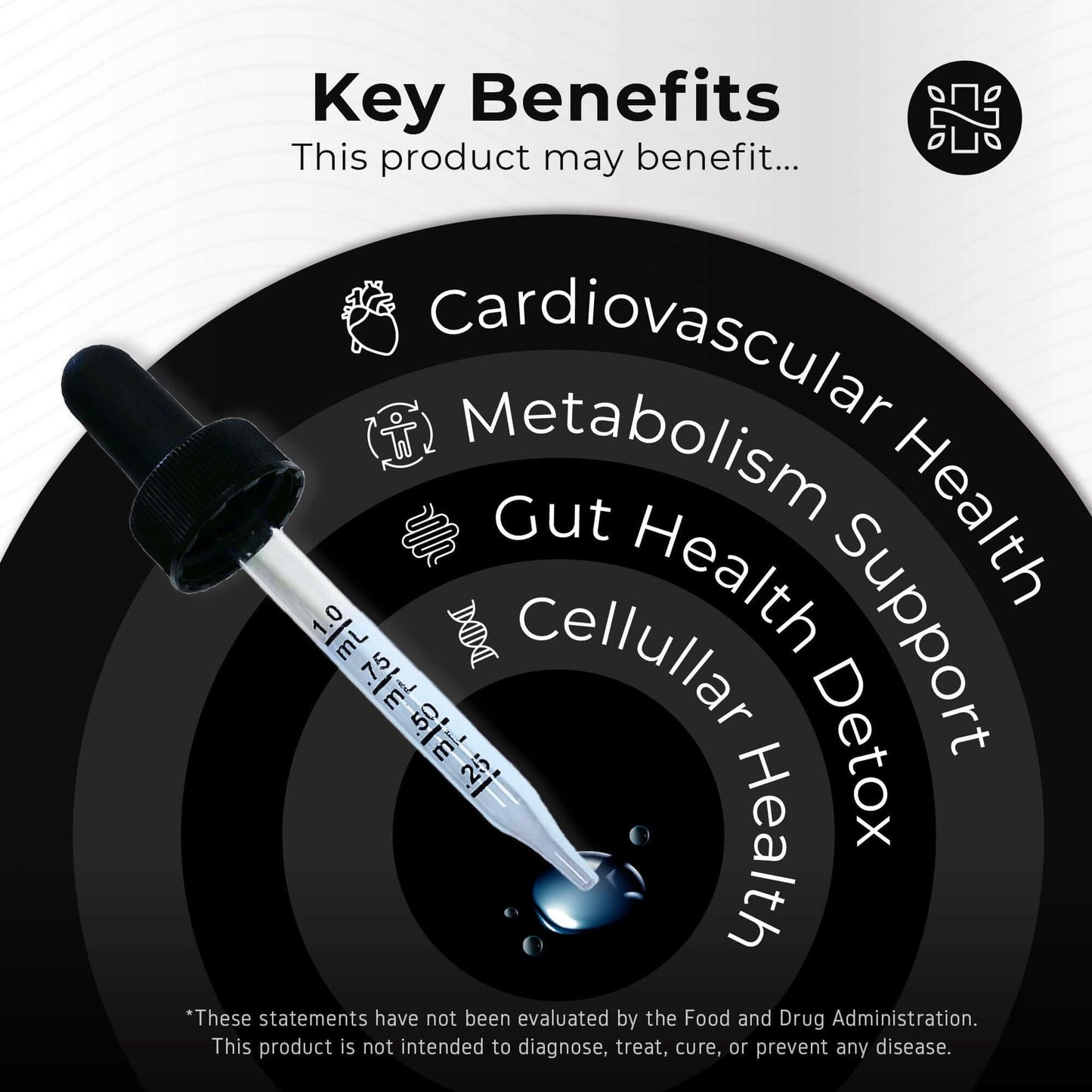 Spermidine Drops