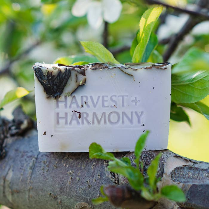 Harvest + Harmony Rose Petal Goat Milke Soap With Dish