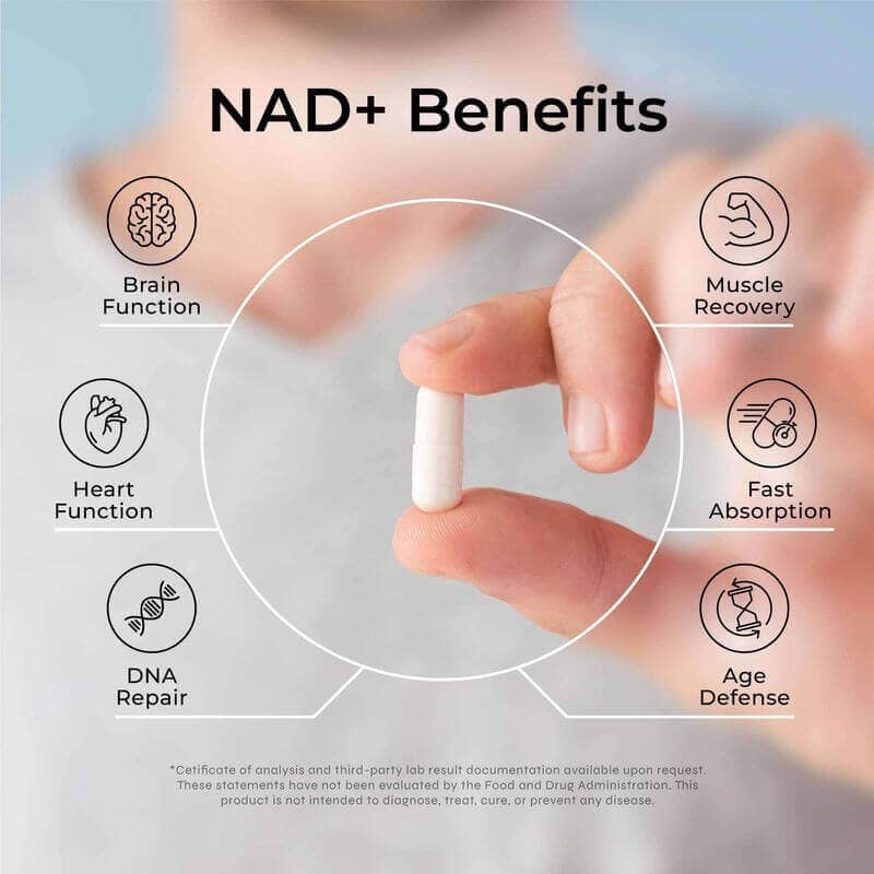NAD+ Supplement