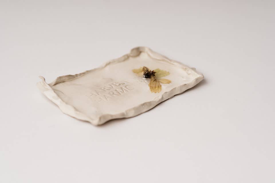 Harvest + Harmony Honey Oatmeal Goat Milk Soap on Soap Dish